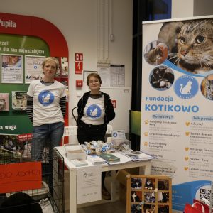 Kocie Mikołajki – podsumowanie