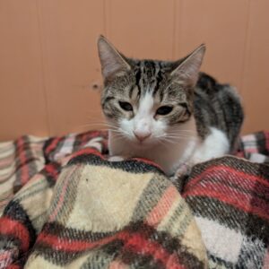 Rodzeństwo Ula i Eryk